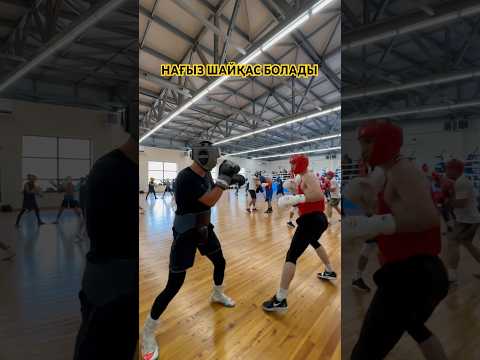 Боксшыларды таныдыңыздар ма? #boxing #қазақстан