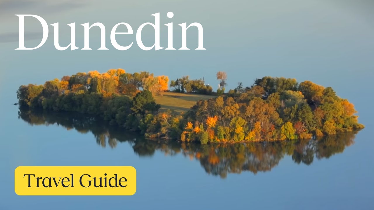 Dunedin Vacation Travel Guide Expedia