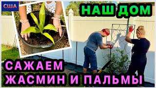￼Проблема с газоном🤦‍♀️ Сажаем жасмин и пальмы. Нас ждал сюрприз. Наш новый дом в США. Флорида