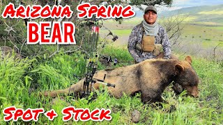 Arizona spring Bear Hunt