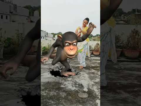 Bandar mama pehan pajama dawat khanne aaye, 🐒,#viral #funny