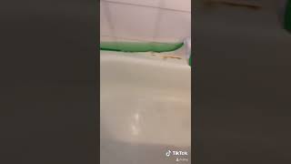 Limpiando mi casa parte 1 😱