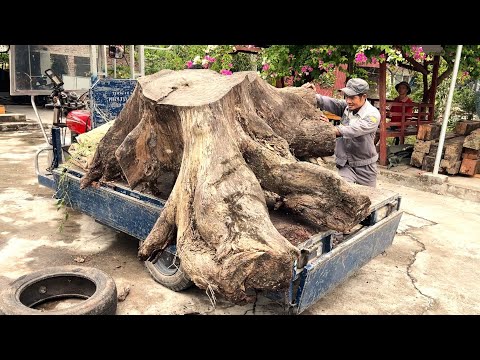 A Masterpiece Of Art From A Large Tree Stump - That Is An Excellent Tea Table