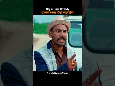 तामांग भाषा तिम्रो मात्र हैन Magne Buda Comedy Video | Nepali Movie Comedy Scene #shorts