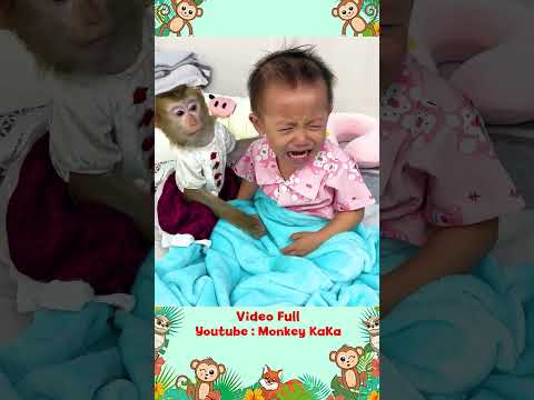 Monkey Hair Red take care of Diem crying because mom was away