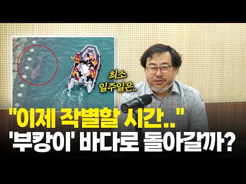 "이제 보내줘야 할 시간.." '부캉이' 바다로 돌아갈까? / 민티07