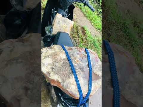 Tiền thì anh không có nhưng Vó Ngựa Ô anh có nguyên con… Đã là Chất thì làm sao mà Phai Màu được