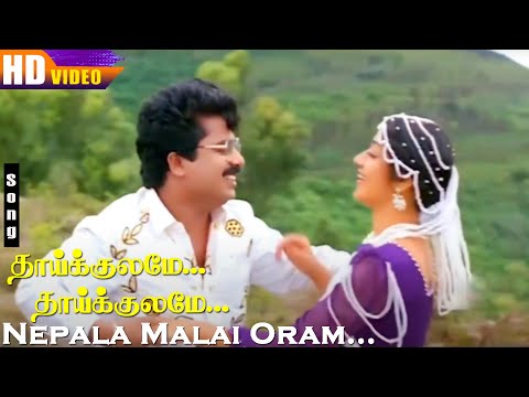 Nepala Malai Oram HD | S.P.B | Swarnalatha | Pandiarajan | Vinaya Prasad | Thaikulame Thaikulame