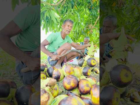 ভেড়ির গাছের তাল খাচ্ছি🤤#shorts #shortvideo #video #village #viralvideo #agriculture