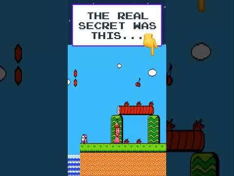 🚨 SMB2's Secret Code Has The Dumbest Effect Ever