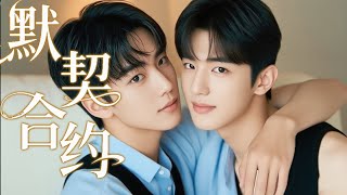 【BL电影】冷面总裁Alpha与天才厨师Omega的默契养娃合约