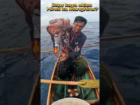 MANGHIHINA KADIN BA?