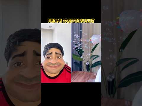 Bizim Evin Yanında #sort #funny #neseliaile #comedy #trend