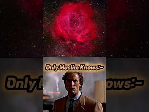 Only Muslim Knows☪