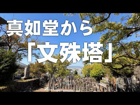 眞如堂から會津墓地を通り三重塔「文殊塔」へ（2026年4月16日）