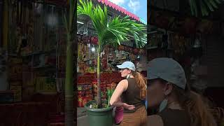 The ultimate Port Louis soundscape 🇲🇺 You can feel the energy of the city just by listening