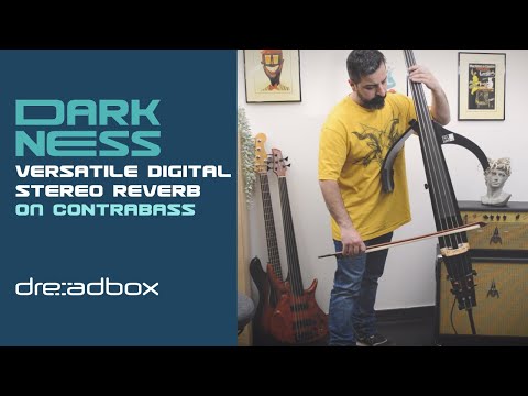 Dreadbox DARKNESS Digital Stereo Reverb (on Contrabass)