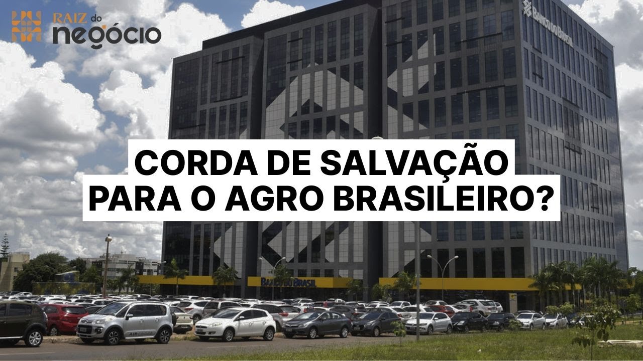 MP para renegociação de dívida rural dá respiro a produtores inadimplentes | Raiz do Negócio