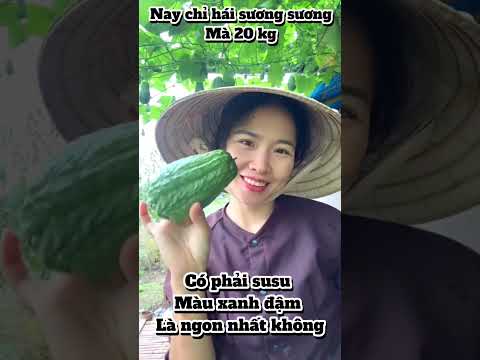 Vựa suúu to nhất tokyo