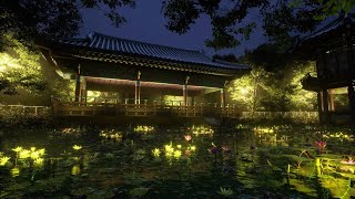 Rain Sounds on a Pond to Make You Sleep