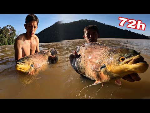 Mùi Thối Nồng Nặc Bốc Ra Từ Căn Nhà Hoang Giữa Rừng | Và Loài Cá Có Hàm Răng Đáng Sợ Trên Sông 