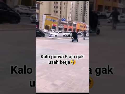 Butuh 4 ekor lagi biar gak usah kerja #burung #piaratuyul #lucuabis