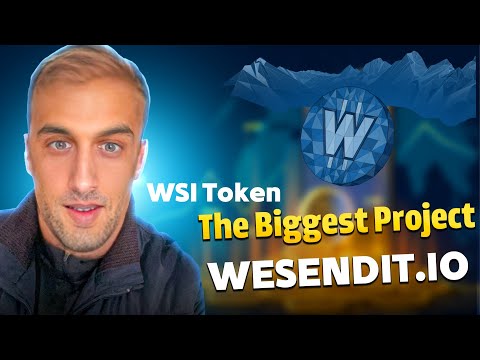 Best Project in 2024 X500 with WESENDIT.IO
