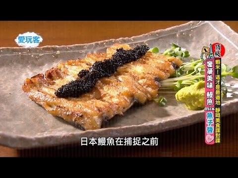 【靜岡 日本】美食當前卻要隨機挑戰？能吃多少就看自己的命運之手啦！靜岡好料行出發！【週一愛玩客】#268