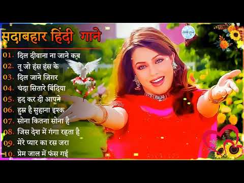 Hindi Gana🌹Sadabahar Song 💖हिंदी गाने 💔Purane Gane Mp3 💕अल्का याग्निक कुमार सानू गीत