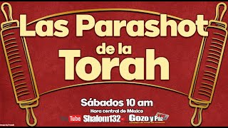 PARASHÁ SEMANAL KI TAVÓ - CUANDO ENTRES  ¡APRENDAMOS MAS DE LA BENDITA TORAH!