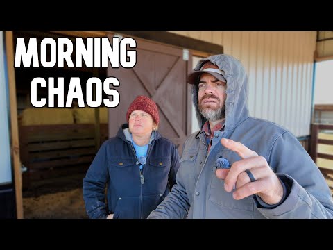 A Day In The Life On Our Small Farm, With This Husband & Wife Duo (Brooke & Farmer Jason)