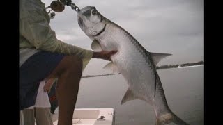 "Huge Fish Light Tackle"  SOUTHERN SPORTSMAN SHOW