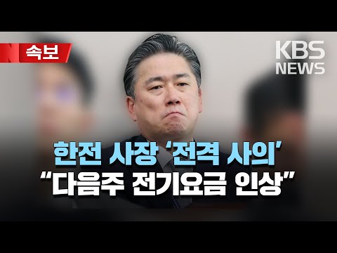 정승일 한전 사장, 자구안 발표 맞춰 사의 표명/25.7조 자구안……