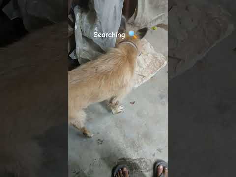 🔍🔍😜 #please_subscribe_my_channel #viewskaisebadhaye #please_subscribe_my_channel #viewskaisebadhaye