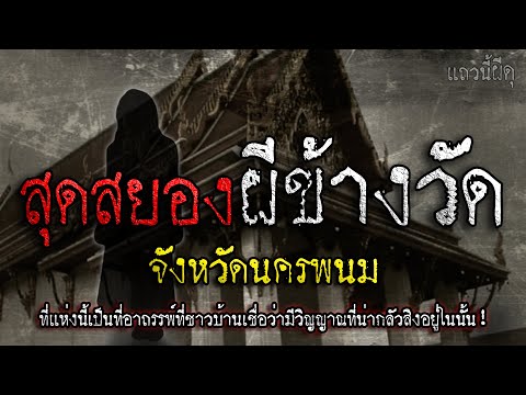 เรื่องเล่าผี ผีสยอง ผีข้างวัด จ.นครพนม "อาถรรพ์ข้างวัดที่คุณไม่ควรเข้าไปยุ่ง" | แถวนี้ผีดุ EP. 410