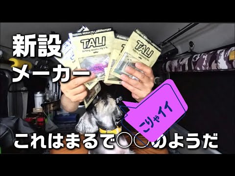 【アジング】何だコレ?TALIのワームは◯◯のようなワームだな。