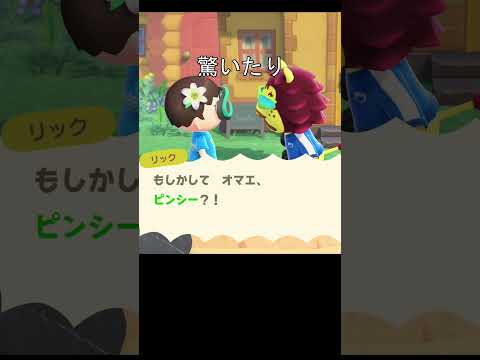 2060年に、住民に会うと、、#あつまれどうぶつの森 #あつ森
