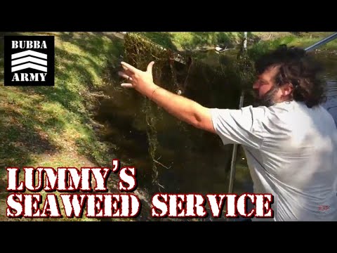 Lummy's Seaweed Service - BTLS Vlog