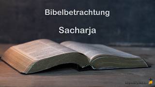 Bibelbetrachtung // Sacharja 10, 1-12  // 10.06.2026 // Freikirche HD