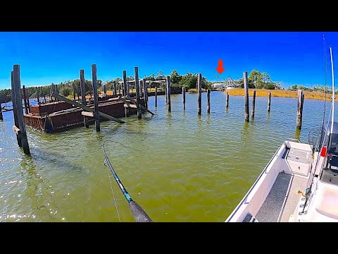 I Tossed my LIVE! BAIT along these ABANDONED PIERS and JETTY ROCKS and Caught THIS!