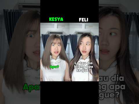 #pov : dibela