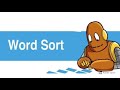 Word Sort Activities and Phases