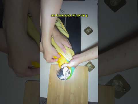 những loài vet cần giấy cấp phép #birds #xuhuong #vet #lovebirds #parrot