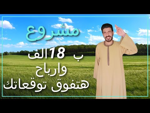 مشروع  الزيتون وارباحه الرهيبة