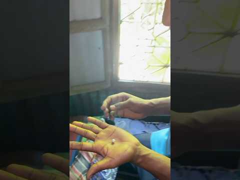 mini vlog