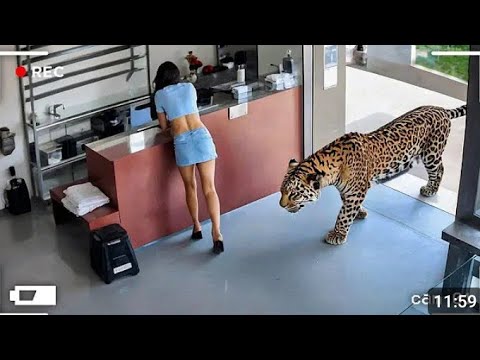 😱 moments forts enregistrer par la caméra