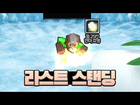 <strong>오팔</strong> 출신 무구 실력 보여드립니다
