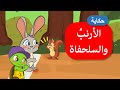 Lessons from the Tortoise and Hare