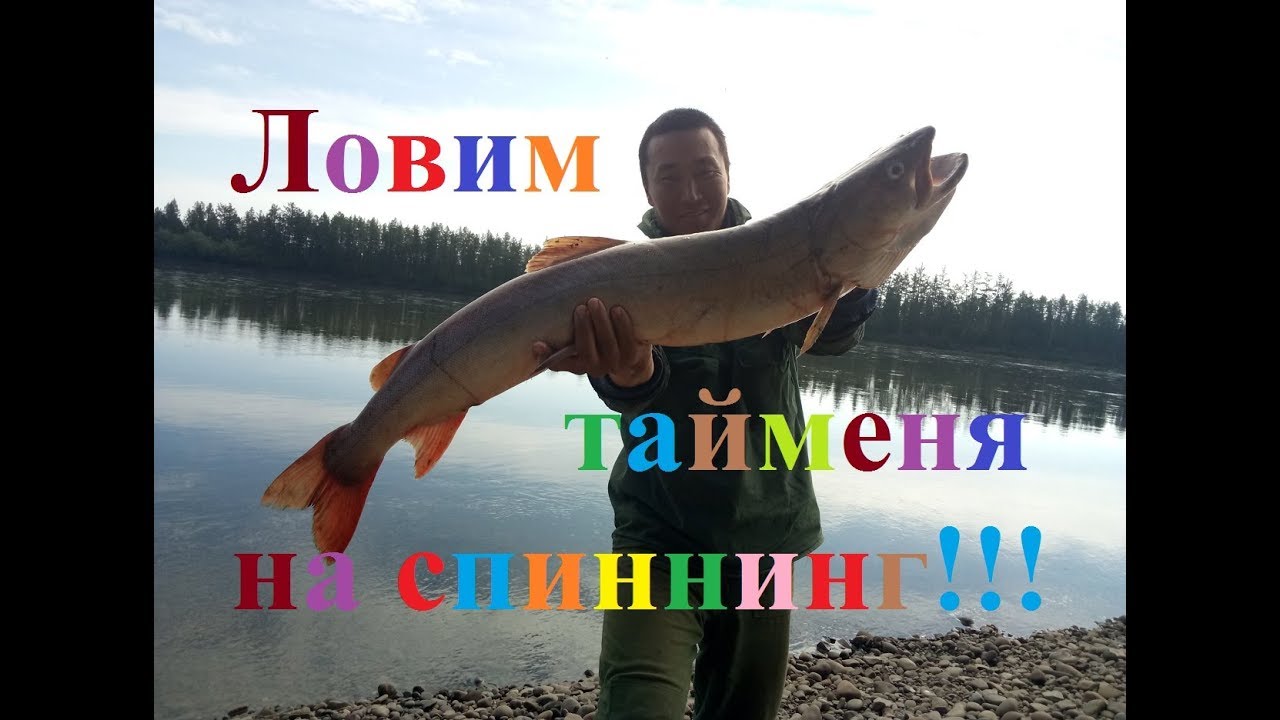 Ловим тайменя и ленков на спиннинг Заброска туристов в горы