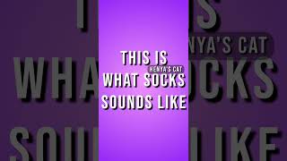 Suprise cat appearance